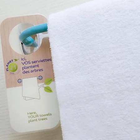 Ibis Budget Centre 2* نانسي